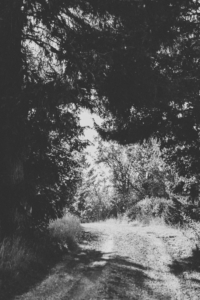 Weg ins Grenzgebiet.